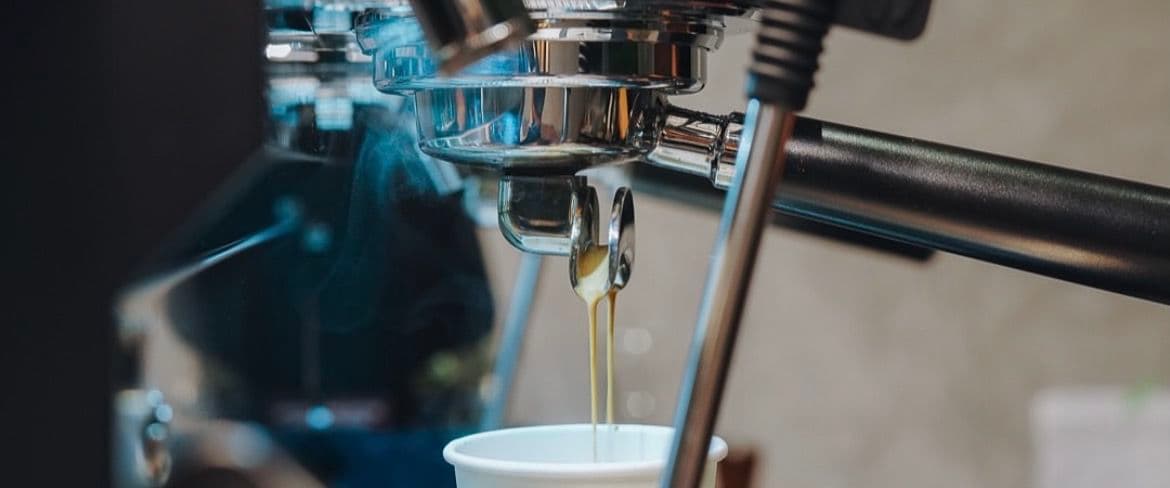 Bumi Brew